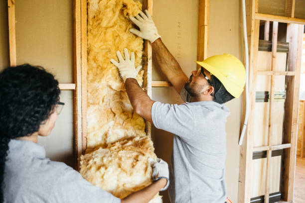 Best Attic Insulation Installation  in Coal Valley, IL